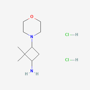 molecular formula C10H22Cl2N2O B2681699 2,2-Dimethyl-3-(morpholin-4-yl)cyclobutan-1-amine dihydrochloride CAS No. 1955554-98-9