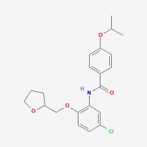 molecular formula C21H24ClNO4 B268178 N-[5-chloro-2-(tetrahydro-2-furanylmethoxy)phenyl]-4-isopropoxybenzamide 