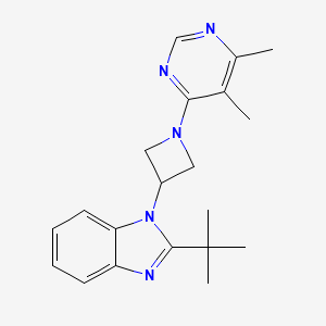 molecular formula C20H25N5 B2682024 2-tert-butyl-1-[1-(5,6-dimethylpyrimidin-4-yl)azetidin-3-yl]-1H-1,3-benzodiazole CAS No. 2415454-83-8
