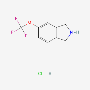 molecular formula C9H9ClF3NO B2682041 5-(Trifluoromethoxy)isoindoline hydrochloride CAS No. 1211532-42-1; 1810070-26-8