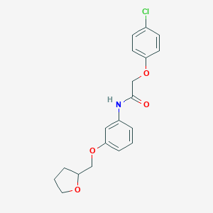 molecular formula C19H20ClNO4 B268252 2-(4-chlorophenoxy)-N-[3-(tetrahydro-2-furanylmethoxy)phenyl]acetamide 