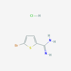 5-Bromothiophene-2-carboximidamide hydrochloride