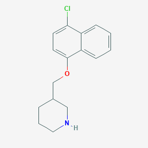 molecular formula C16H18ClNO B268327 3-{[(4-Chloro-1-naphthyl)oxy]methyl}piperidine 