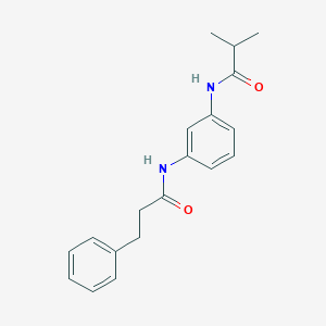 molecular formula C19H22N2O2 B268369 2-methyl-N-{3-[(3-phenylpropanoyl)amino]phenyl}propanamide 