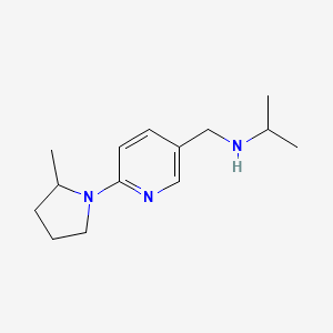 {[6-(2-Methylpyrrolidin-1-yl)pyridin-3-yl]methyl}(propan-2-yl)amine
