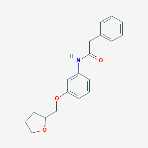 molecular formula C19H21NO3 B268420 2-phenyl-N-[3-(tetrahydro-2-furanylmethoxy)phenyl]acetamide 