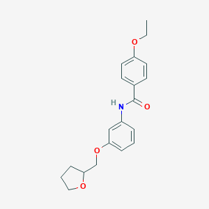 molecular formula C20H23NO4 B268432 4-ethoxy-N-[3-(tetrahydro-2-furanylmethoxy)phenyl]benzamide 