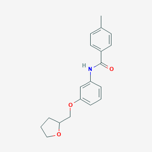 molecular formula C19H21NO3 B268442 4-methyl-N-[3-(tetrahydro-2-furanylmethoxy)phenyl]benzamide 