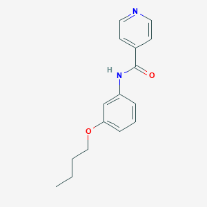 molecular formula C16H18N2O2 B268459 N-(3-butoxyphenyl)isonicotinamide 