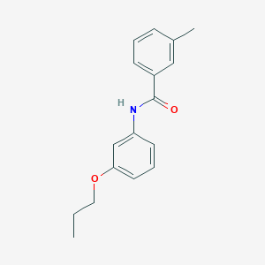 molecular formula C17H19NO2 B268484 3-methyl-N-(3-propoxyphenyl)benzamide 