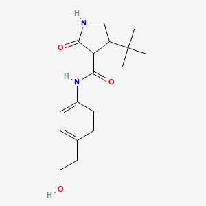 molecular formula C17H24N2O3 B2685257 4-tert-butyl-N-[4-(2-hydroxyethyl)phenyl]-2-oxopyrrolidine-3-carboxamide CAS No. 2097896-07-4