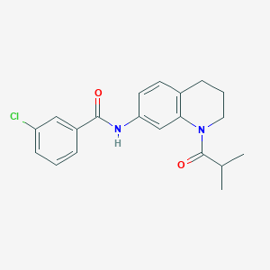 molecular formula C20H21ClN2O2 B2685326 3-chloro-N-(1-isobutyryl-1,2,3,4-tetrahydroquinolin-7-yl)benzamide CAS No. 1005294-42-7