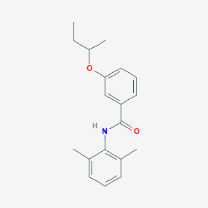 molecular formula C19H23NO2 B268533 3-sec-butoxy-N-(2,6-dimethylphenyl)benzamide 