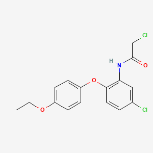2-chloro-N-[5-chloro-2-(4-ethoxyphenoxy)phenyl]acetamide