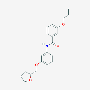 molecular formula C21H25NO4 B268594 3-propoxy-N-[3-(tetrahydro-2-furanylmethoxy)phenyl]benzamide 