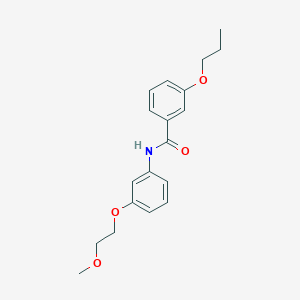 molecular formula C19H23NO4 B268599 N-[3-(2-methoxyethoxy)phenyl]-3-propoxybenzamide 