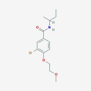 molecular formula C14H20BrNO3 B268623 3-bromo-N-(sec-butyl)-4-(2-methoxyethoxy)benzamide 
