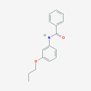 molecular formula C16H17NO2 B268644 N-(3-propoxyphenyl)benzamide 