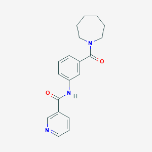 molecular formula C19H21N3O2 B268670 N-[3-(1-azepanylcarbonyl)phenyl]nicotinamide 