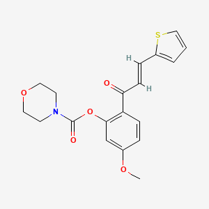 molecular formula C19H19NO5S B2686969 (E)-5-methoxy-2-(3-(thiophen-2-yl)acryloyl)phenyl morpholine-4-carboxylate CAS No. 1164546-35-3