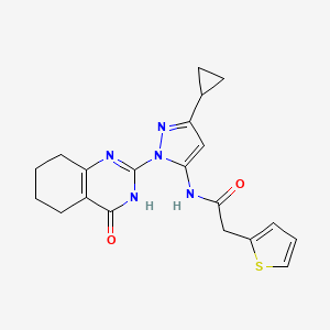 molecular formula C20H21N5O2S B2687000 N-(3-cyclopropyl-1-(4-oxo-3,4,5,6,7,8-hexahydroquinazolin-2-yl)-1H-pyrazol-5-yl)-2-(thiophen-2-yl)acetamide CAS No. 1207022-47-6