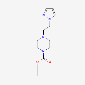 molecular formula C14H24N4O2 B2687502 叔丁基 4-[2-(1H-吡唑-1-基)乙基]哌嗪-1-甲酸叔丁酯 CAS No. 1286720-46-4