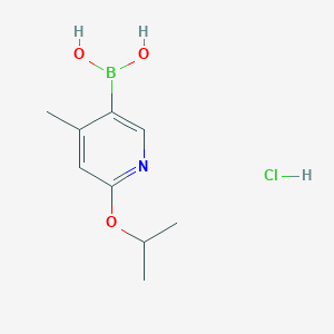 6-Isopropoxy-4-methylpyridine-3-boronic acid HCl