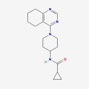 molecular formula C17H24N4O B2687656 N-(1-(5,6,7,8-四氢喹唑啉-4-基)哌啶-4-基)环丙基甲酰胺 CAS No. 2034536-93-9