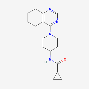 N-[1-(5,6,7,8-tetrahydroquinazolin-4-yl)piperidin-4-yl]cyclopropanecarboxamide