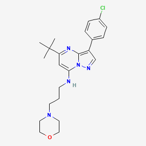 5-tert-butyl-3-(4-chlorophenyl)-N-(3-morpholin-4-ylpropyl)pyrazolo[1,5-a]pyrimidin-7-amine