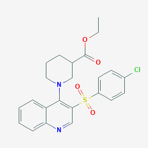 molecular formula C23H23ClN2O4S B2689231 乙酸乙酯 1-(3-((4-氯苯基)磺酰)喹啉-4-基)哌嗪-3-甲酸酯 CAS No. 897758-92-8