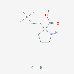 molecular formula C11H22ClNO2 B2689348 2-(3,3-Dimethylbutyl)pyrrolidine-2-carboxylic acid;hydrochloride CAS No. 2375262-44-3