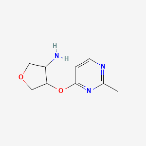 molecular formula C9H13N3O2 B2690151 4-[(2-Methylpyrimidin-4-yl)oxy]oxolan-3-amine CAS No. 2201737-02-0
