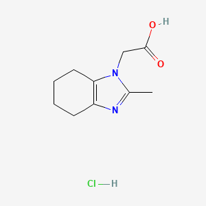 molecular formula C10H15ClN2O2 B2692101 2-(2-methyl-4,5,6,7-tetrahydro-1H-1,3-benzodiazol-1-yl)acetic acid hydrochloride CAS No. 2310144-69-3
