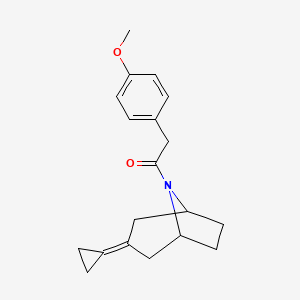 1-{3-Cyclopropylidene-8-azabicyclo[3.2.1]octan-8-yl}-2-(4-methoxyphenyl)ethan-1-one