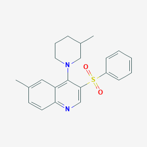 6-Methyl-4-(3-methylpiperidin-1-yl)-3-(phenylsulfonyl)quinoline