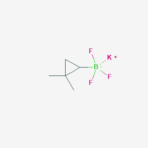 molecular formula C5H9BF3K B2692704 Potassium (2,2-dimethyl-cyclopropyl)-trifluoroborate CAS No. 1350729-26-8
