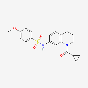 N-(1-cyclopropanecarbonyl-1,2,3,4-tetrahydroquinolin-7-yl)-4-methoxybenzene-1-sulfonamide