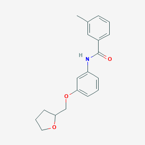 molecular formula C19H21NO3 B269318 3-methyl-N-[3-(tetrahydro-2-furanylmethoxy)phenyl]benzamide 
