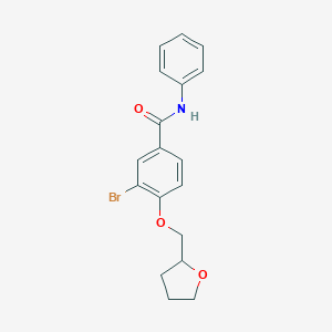 3-bromo-N-phenyl-4-(tetrahydro-2-furanylmethoxy)benzamide