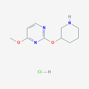 molecular formula C10H16ClN3O2 B2693688 4-Methoxy-2-(piperidin-3-yloxy)pyrimidine hydrochloride CAS No. 1779126-26-9