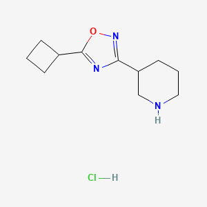 molecular formula C11H18ClN3O B2693776 3-(5-Cyclobutyl-1,2,4-oxadiazol-3-yl)piperidine hydrochloride CAS No. 1393330-63-6