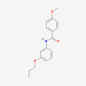 molecular formula C17H19NO3 B269383 4-methoxy-N-(3-propoxyphenyl)benzamide 