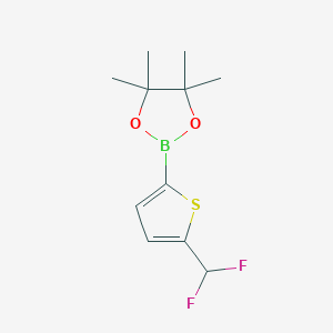 molecular formula C11H15BF2O2S B2694333 2-[5-(Difluoromethyl)thiophen-2-YL]-4,4,5,5-tetramethyl-1,3,2-dioxaborolane CAS No. 2568559-54-4