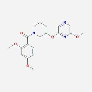 molecular formula C19H23N3O5 B2694562 (2,4-二甲氧基苯基)(3-((6-甲氧基吡嗪-2-基)氧基)哌啶-1-基)甲酮 CAS No. 2034437-62-0