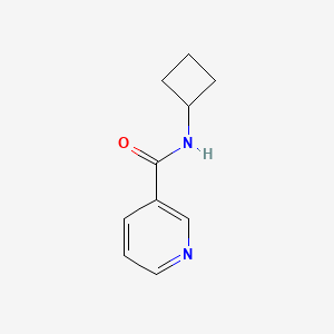 molecular formula C10H12N2O B2695251 N-环丁基吡啶-3-羧酰胺 CAS No. 1864682-46-1