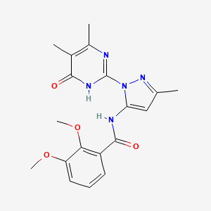 molecular formula C19H21N5O4 B2695570 N-(1-(4,5-二甲基-6-氧代-1,6-二氢嘧啶-2-基)-3-甲基-1H-嘧啶-5-基)-2,3-二甲氧基苯甲酰胺 CAS No. 1004680-12-9