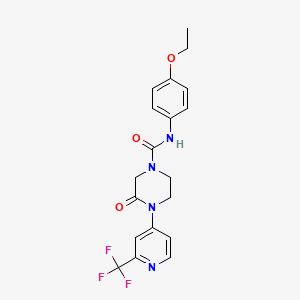 molecular formula C19H19F3N4O3 B2695961 N-(4-Ethoxyphenyl)-3-oxo-4-[2-(trifluoromethyl)pyridin-4-yl]piperazine-1-carboxamide CAS No. 2380171-84-4