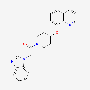 2-(1H-benzo[d]imidazol-1-yl)-1-(4-(quinolin-8-yloxy)piperidin-1-yl)ethanone