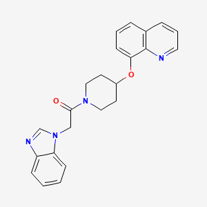 molecular formula C23H22N4O2 B2696180 2-(1H-苯并[d]咪唑-1-基)-1-(4-(喹啉-8-基氧基)哌啶-1-基)乙酮 CAS No. 2034277-48-8